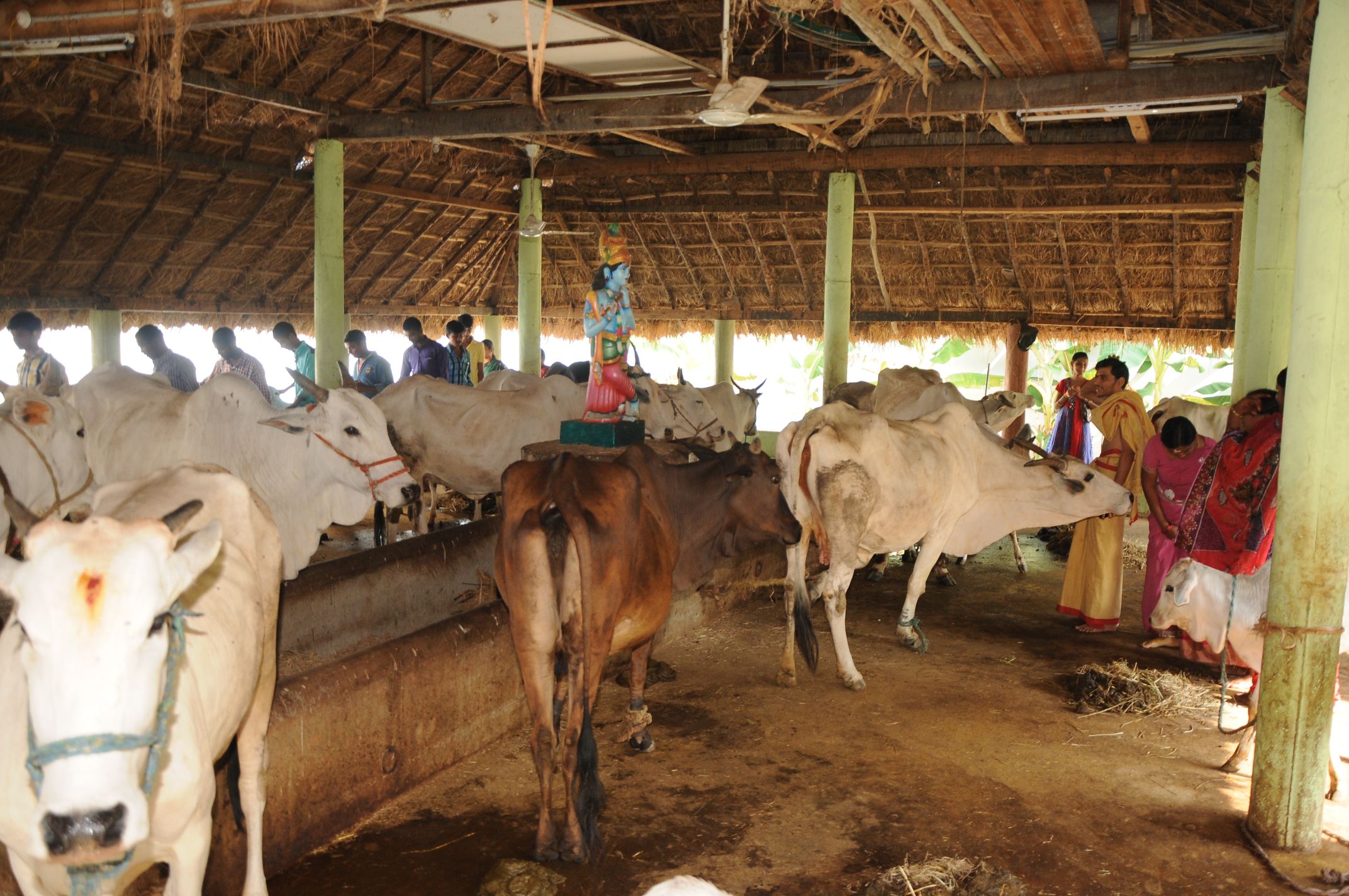 గో సంరక్షణ పథకం