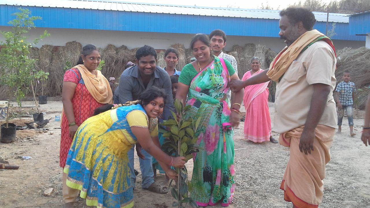 రాశి వనం, గ్రహ వనం